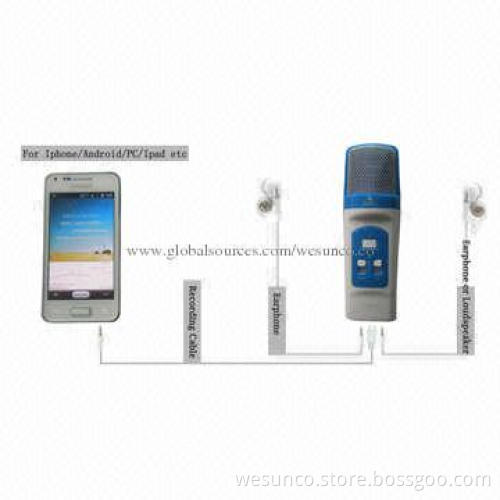 Wired handheld microphone with LCD